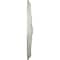 Ekena Millwork Washington Ceiling Medallion (Fits Canopies up to 2 7/8"), 17 1/8"OD x 1 1/2"P, Flash Blue CM17WAFBS - alternate 3
